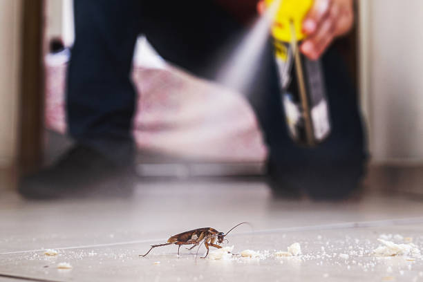 Best Pest Prevention Services  in Summit, NJ